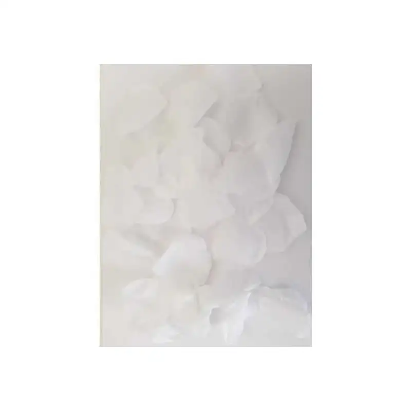 100-petales-couleur-blanc-1