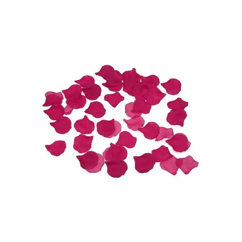 100-petales-couleur-fuchsia-1
