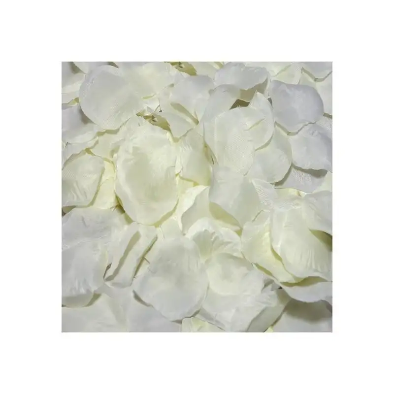 100-petalos-couleur-vanille-1