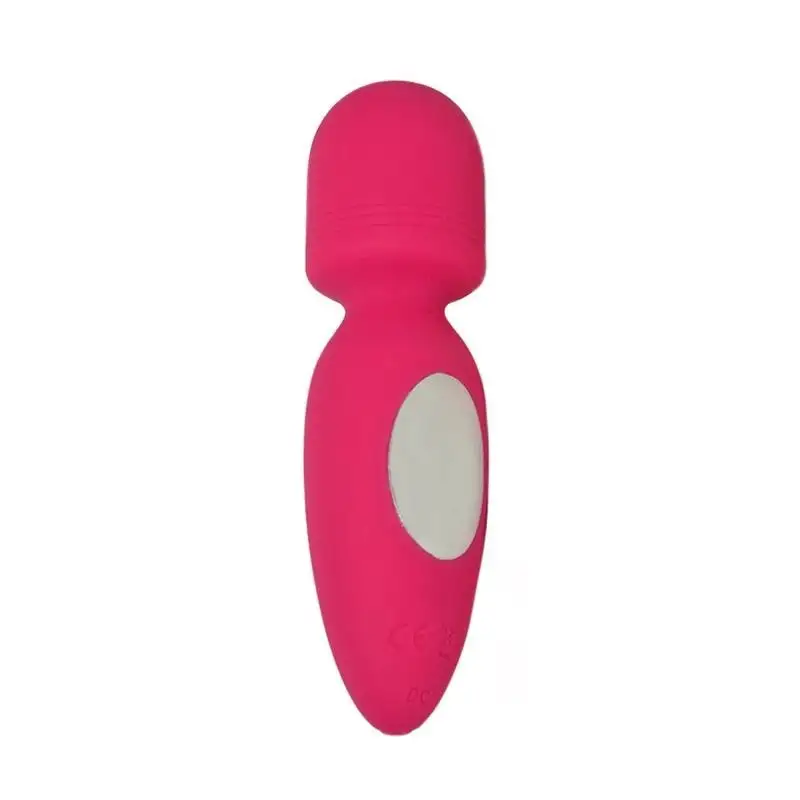 Mini-Baguette-Valencia-rose-1