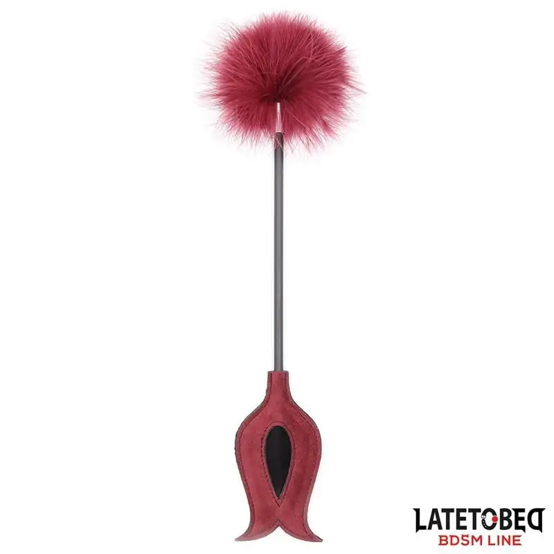 Stimulateur-Plumes-avec-Pala-1