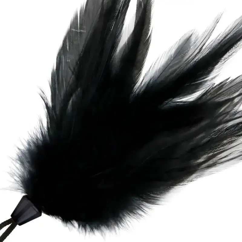 accessoire-bdsm-plume-noire-pour-sensations-rotiques-1_optimized-1