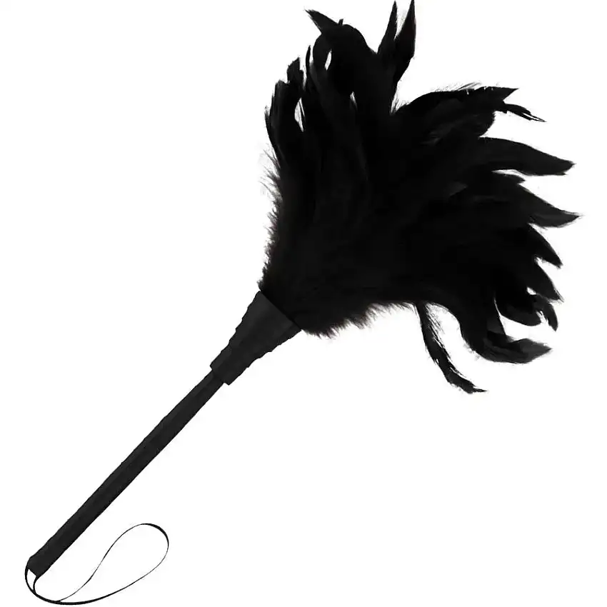 accessoire-bdsm-plume-noire-rotique-1_optimized-1