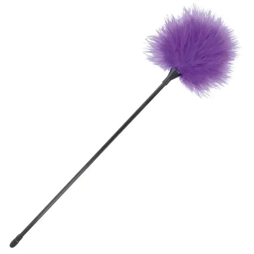 accessoire-bdsm-plumes-chatouilles-lilas-1_optimized-1
