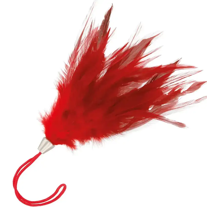 accessoire-bdsm-plumes-rouges-darkness-1_optimized-1