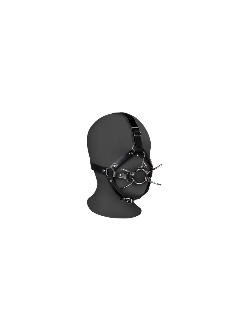 baillon-sm-spider-gag-ouch-1