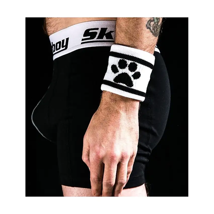 bandeau-dog-paw-sk8erboy-1