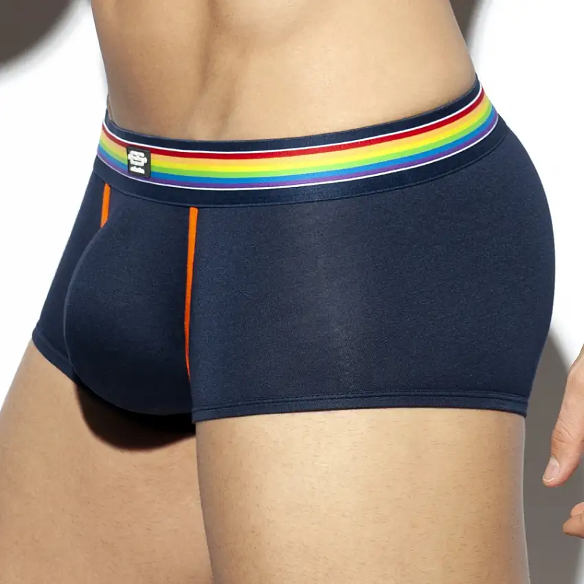 boxer-rainbow-marine-1