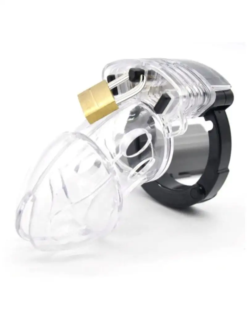 cage-de-chastete-locking-cock-1