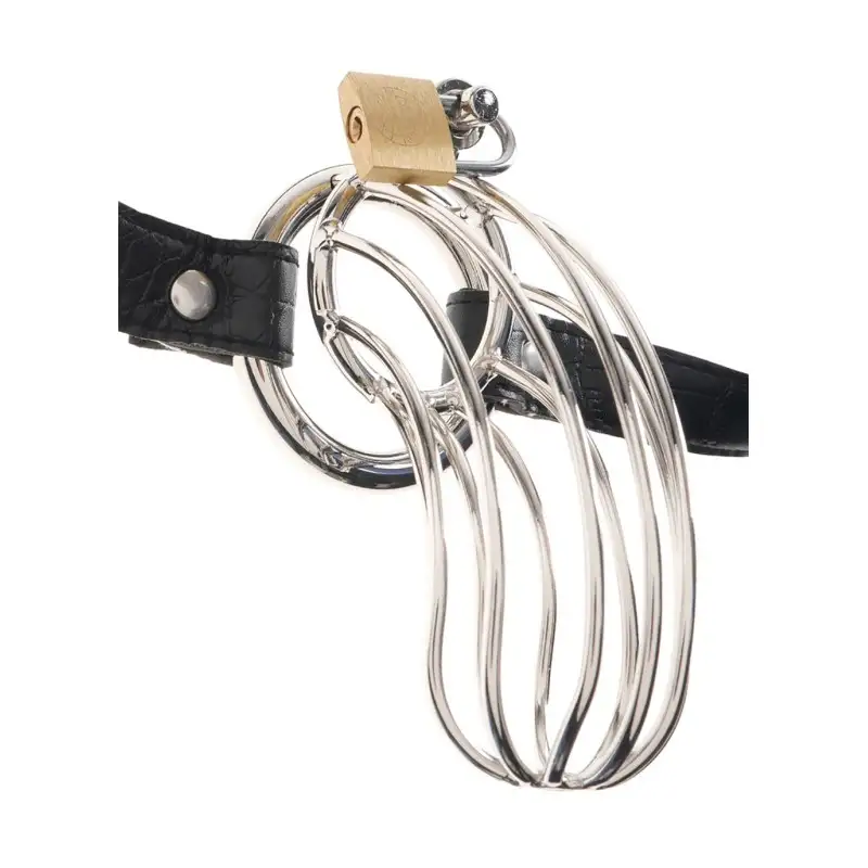 cage-de-chastete-pour-penis-the-prisoner-r540455-1