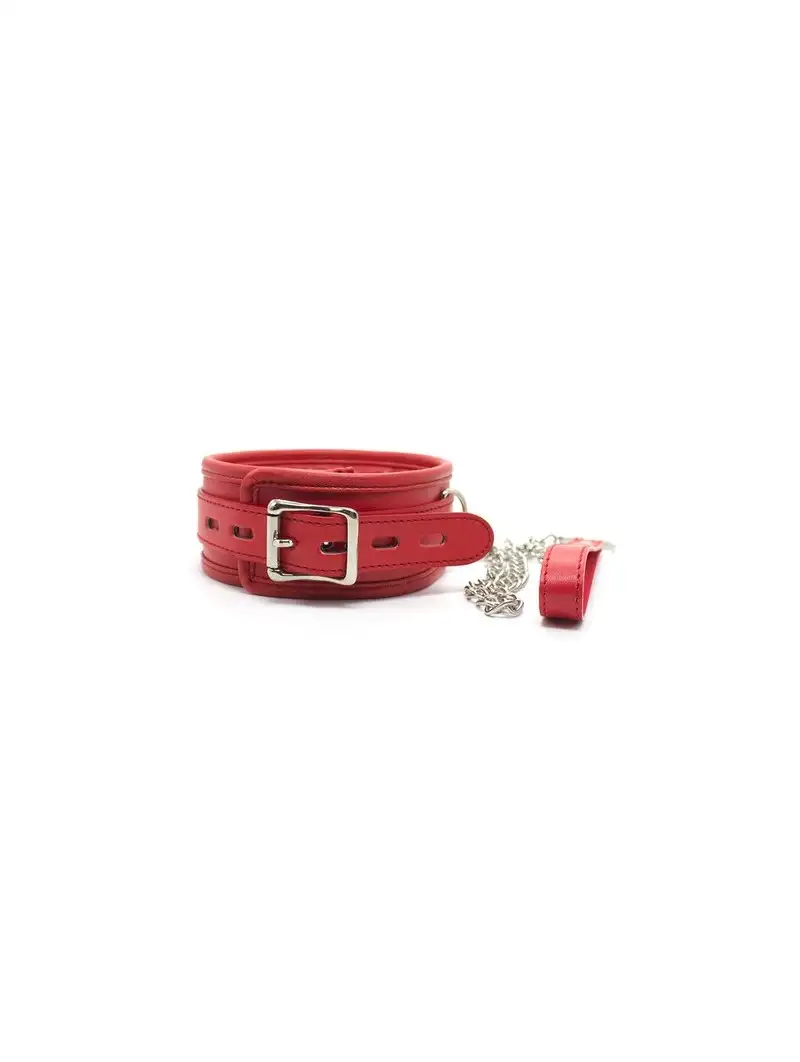 collier-et-laisse-cuir-rouge-1