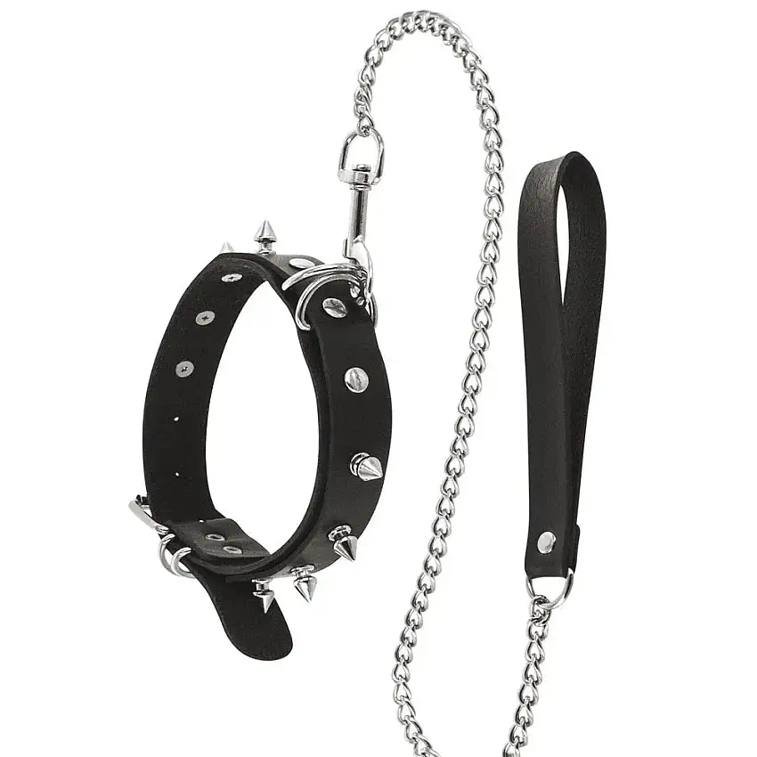 collier-et-laisse-sm-1-1