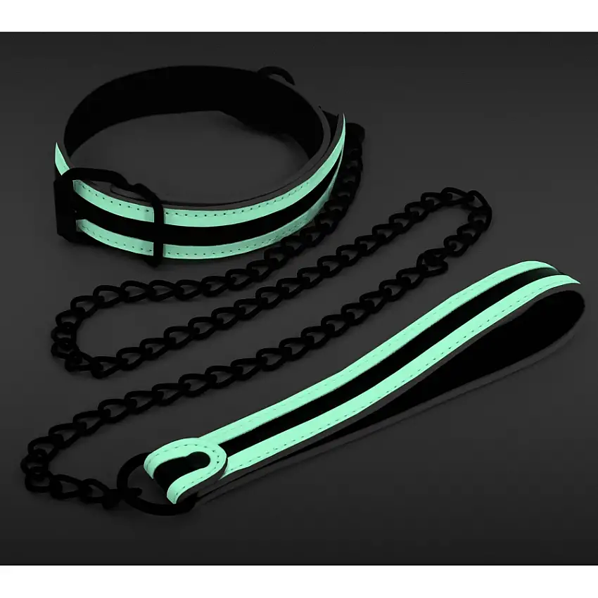 collier-laisse-fluorescent-glo-1