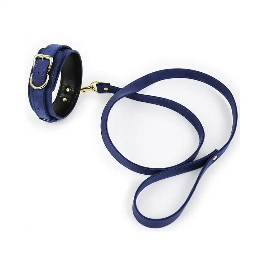 collier-laisse-lighty-bleu-1