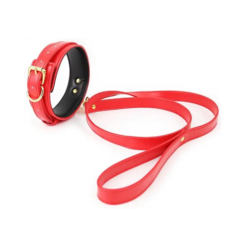 collier-laisse-lighty-rouge-1