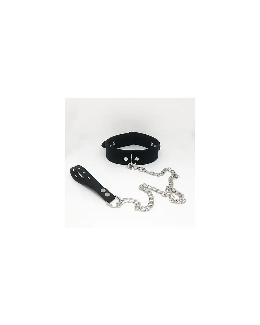 collier-laisse-silicone-1