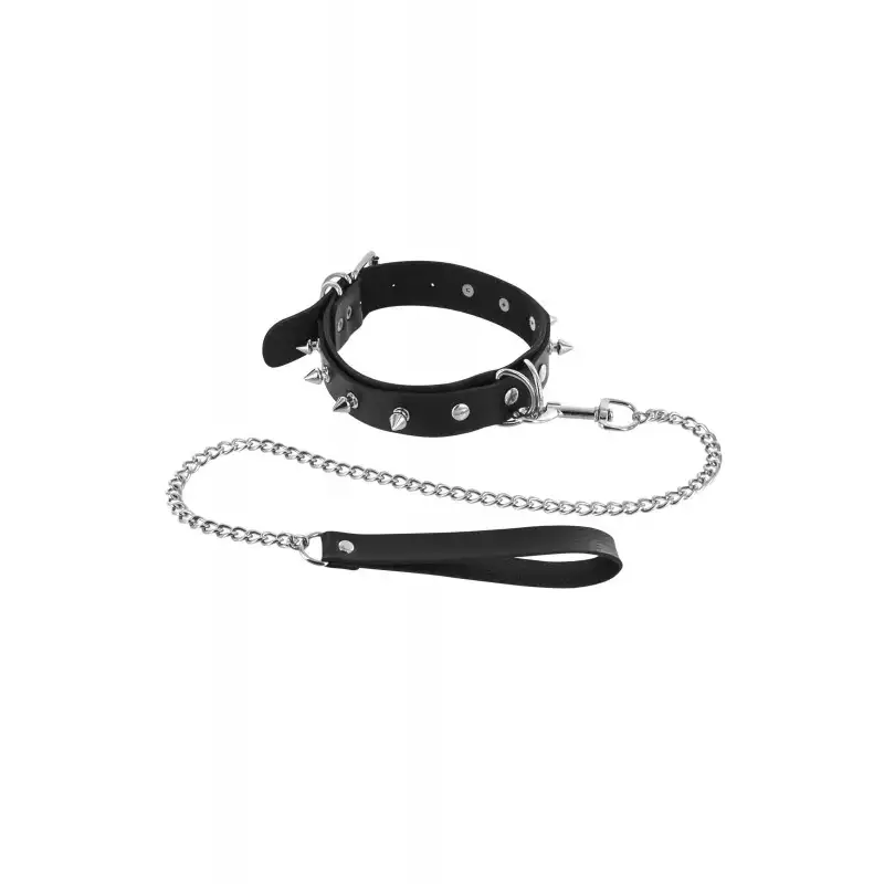 collier-pointes-et-laisse-metalliques-1