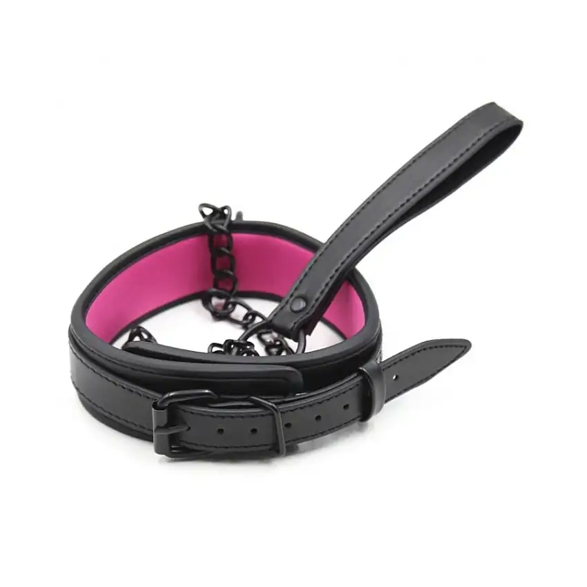 collier-sm-avec-laisse-noir-rose-1