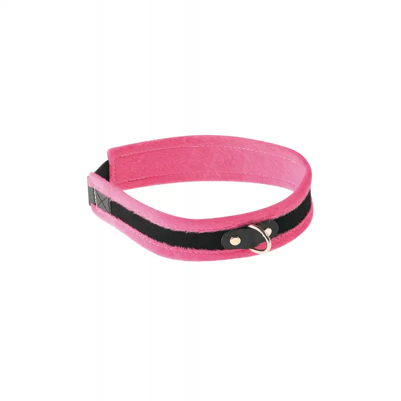 collier-velours-fermeture-velcro-1