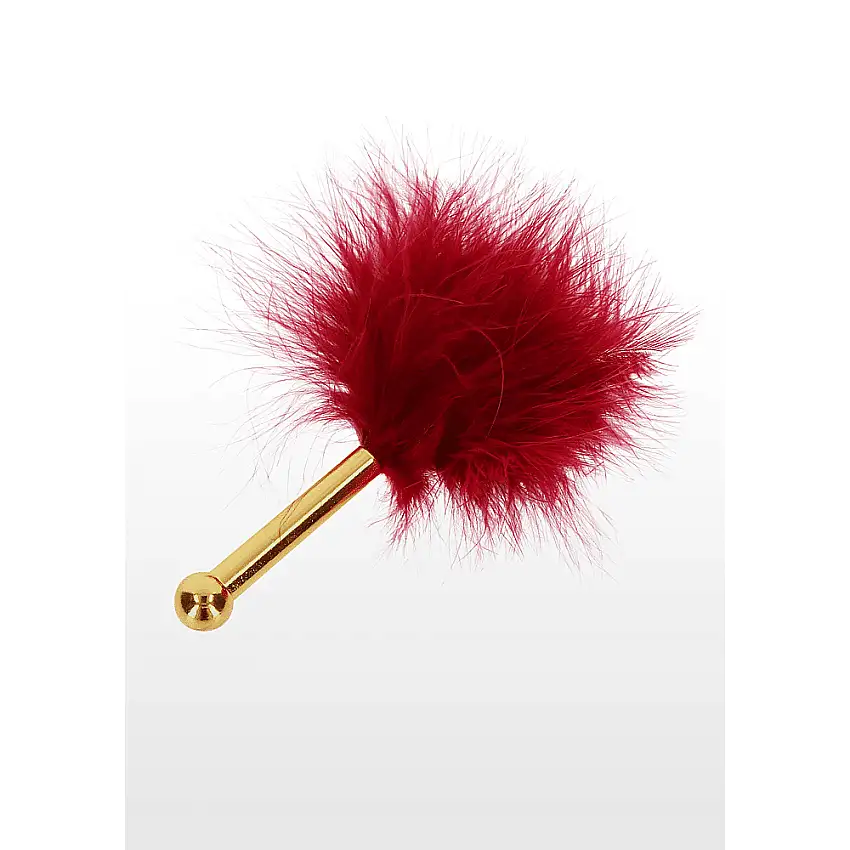 feather-plumeau-taboom-1