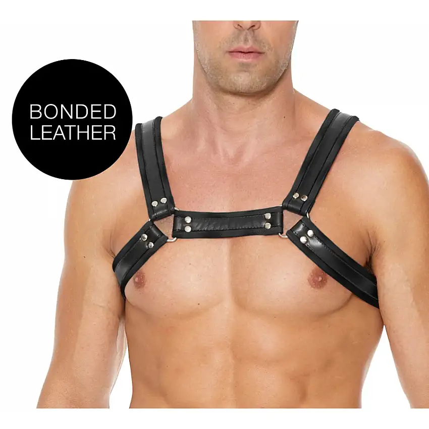 harnais-buckle-bulldog-noir-1