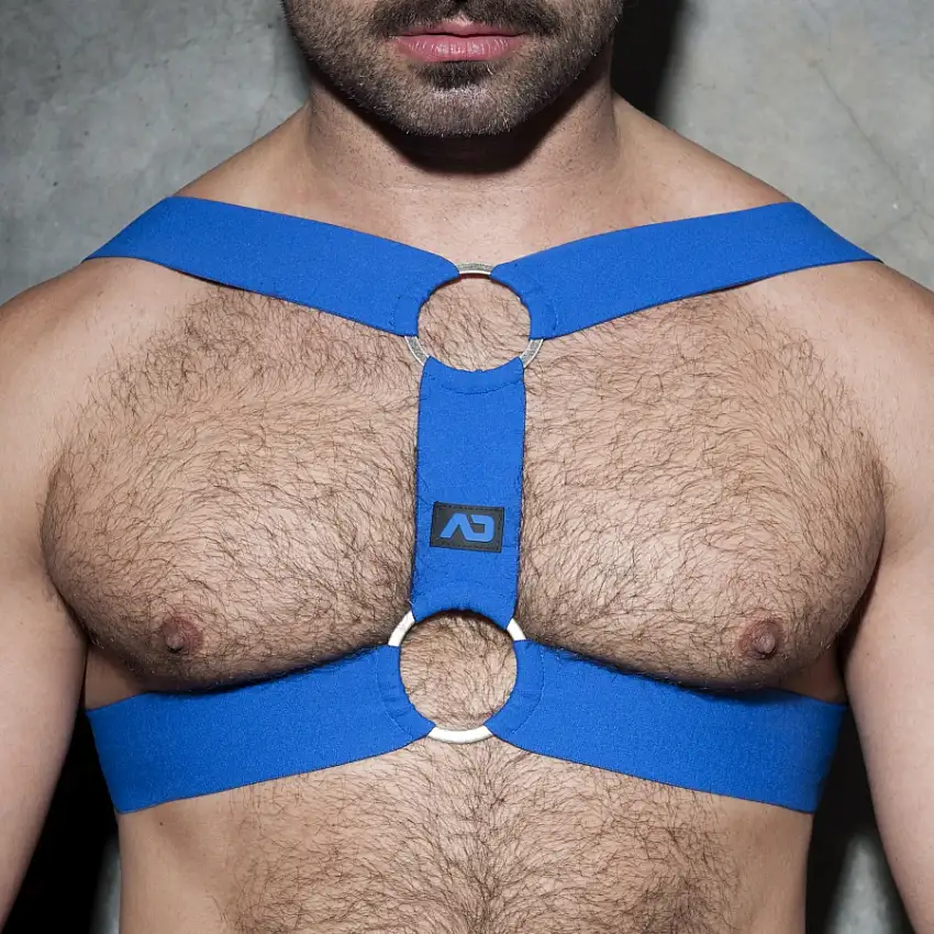 harnais-double-ring-bleu-1