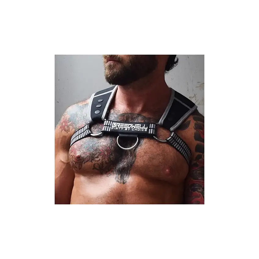 harnais-intimidator-breedwell-noir-gris-1