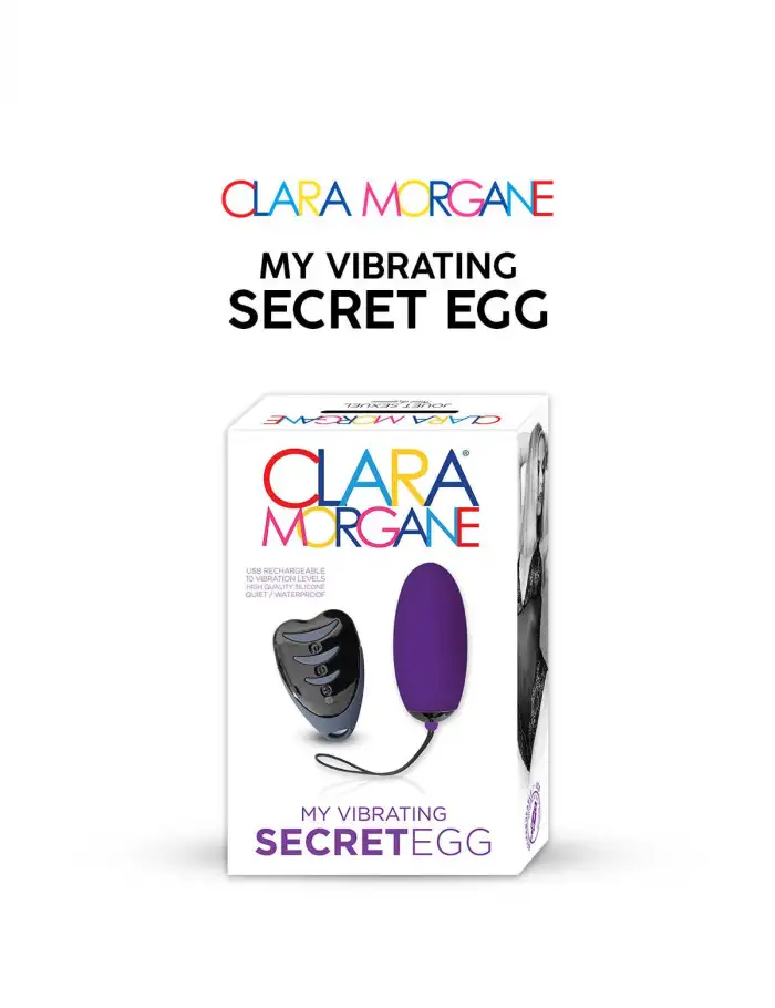 my-vibrating-secret-egg-violet-1