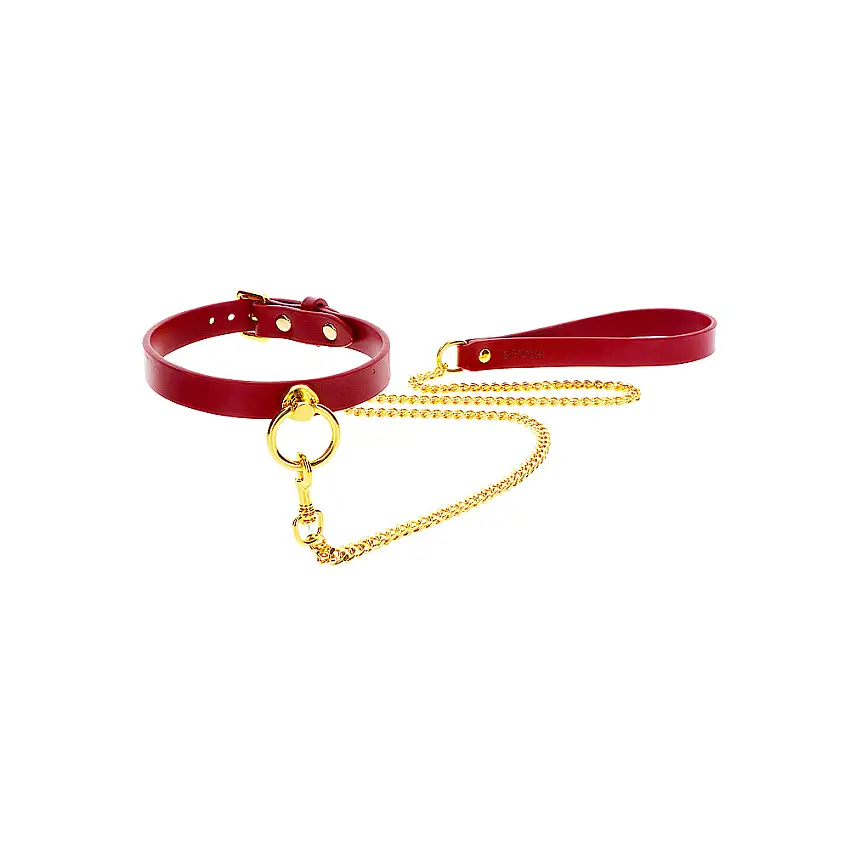 oring-collarleash-taboom-1