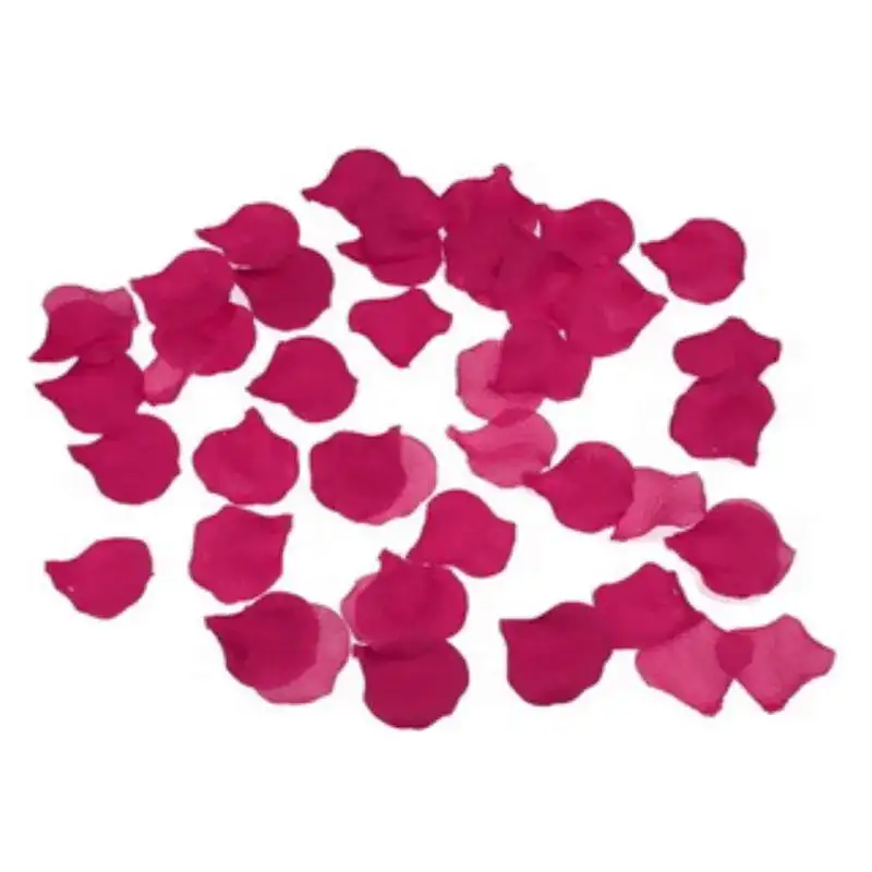 p-tales-de-rose-fuchsia-rotiques-1-1