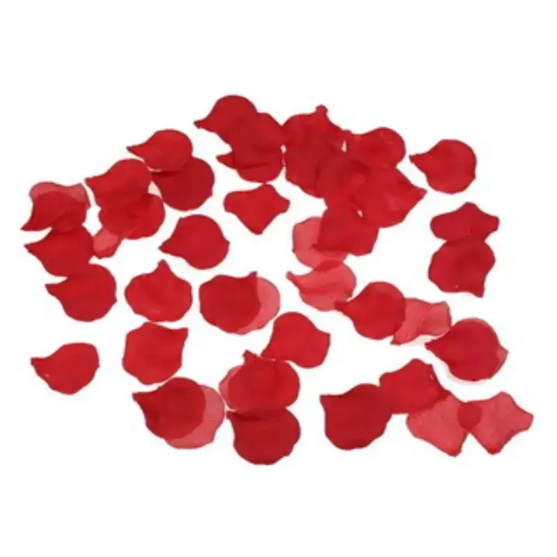 p-tales-de-rose-rouges-rotiques-v-nements-1-1