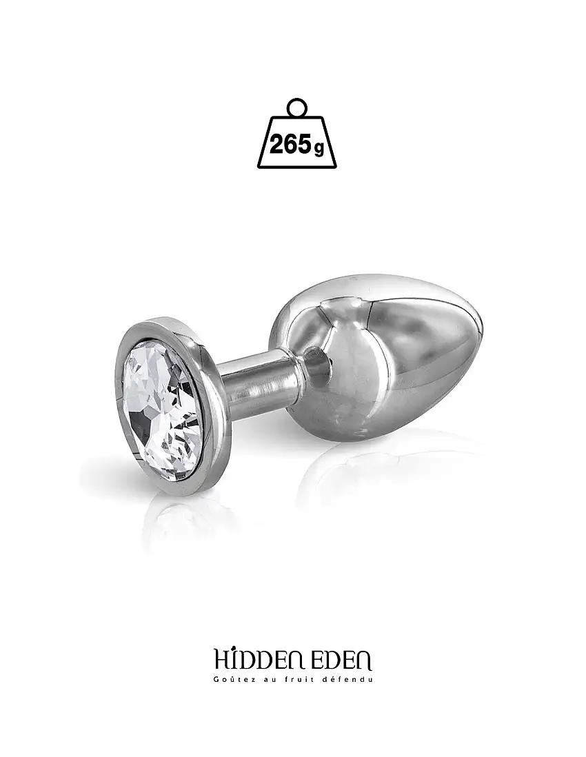 plug-bijou-acier-m-hidden-eden-1