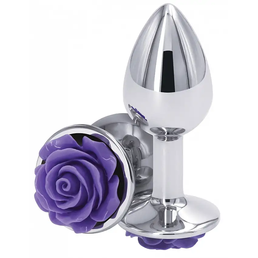 plug-bijou-rear-s-6-x-27cm-argente-violet-1