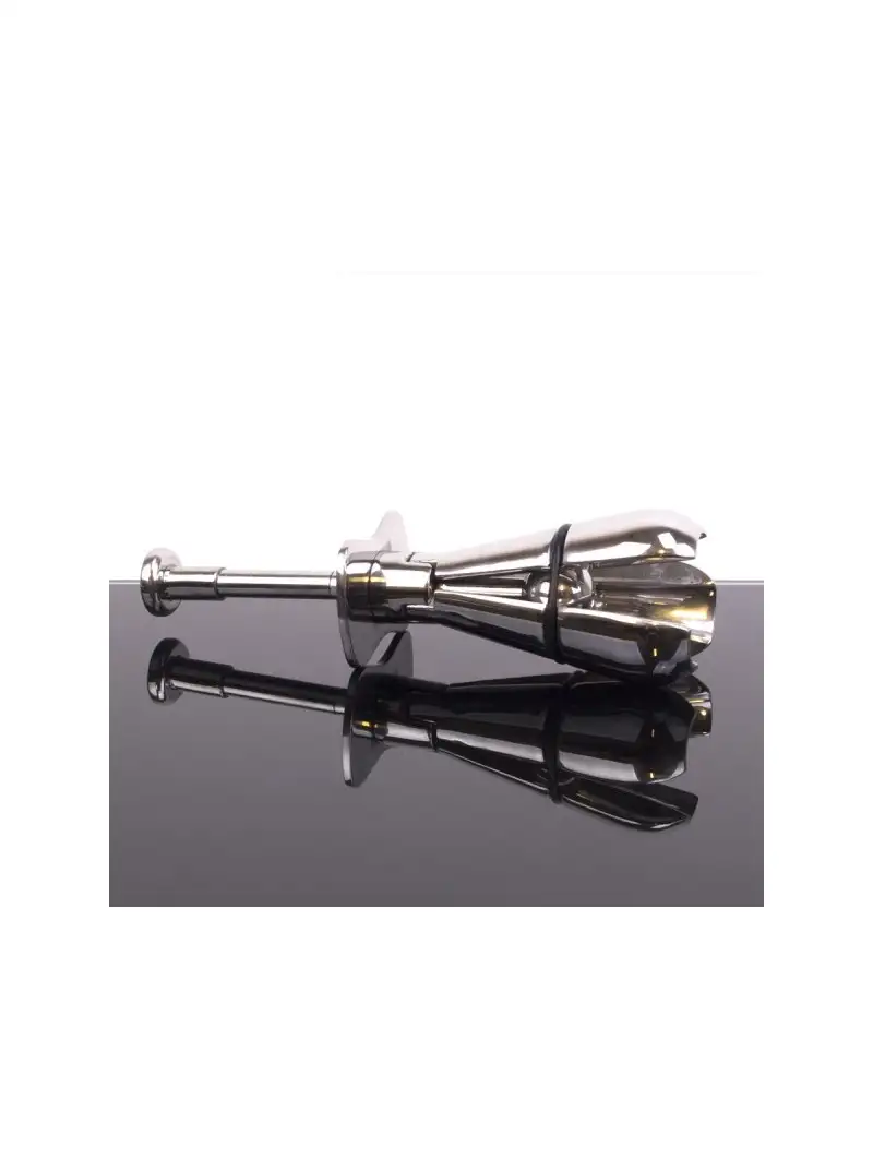 plug-de-chastete-anale-metal-1