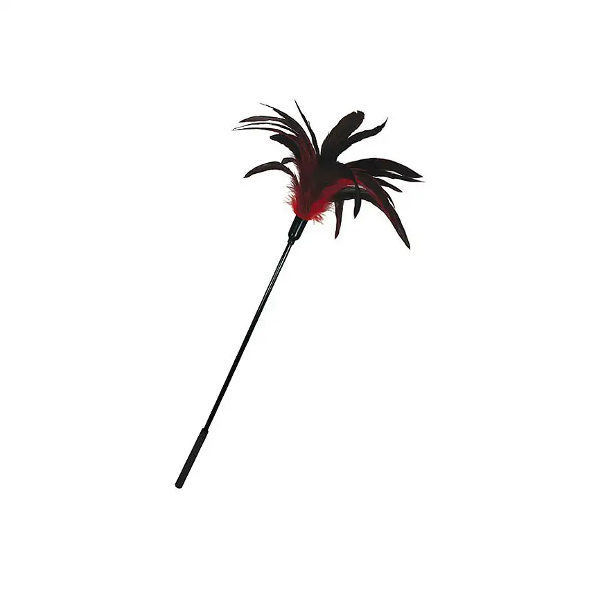 plumeau-rouge-et-noir-1