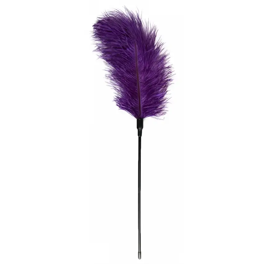 plumeau-teasing-violet-56cm-1