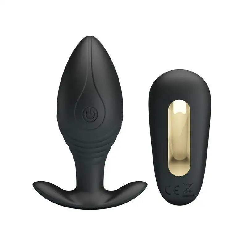 regina-royal-plug-anal-avec-telecommande-usb-1