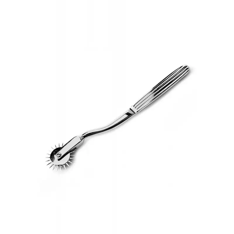roulette-de-wartenberg-en-acier-1