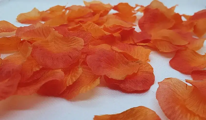 sachet-100-p-tales-de-rose-rouge-r-utilisables-1-1