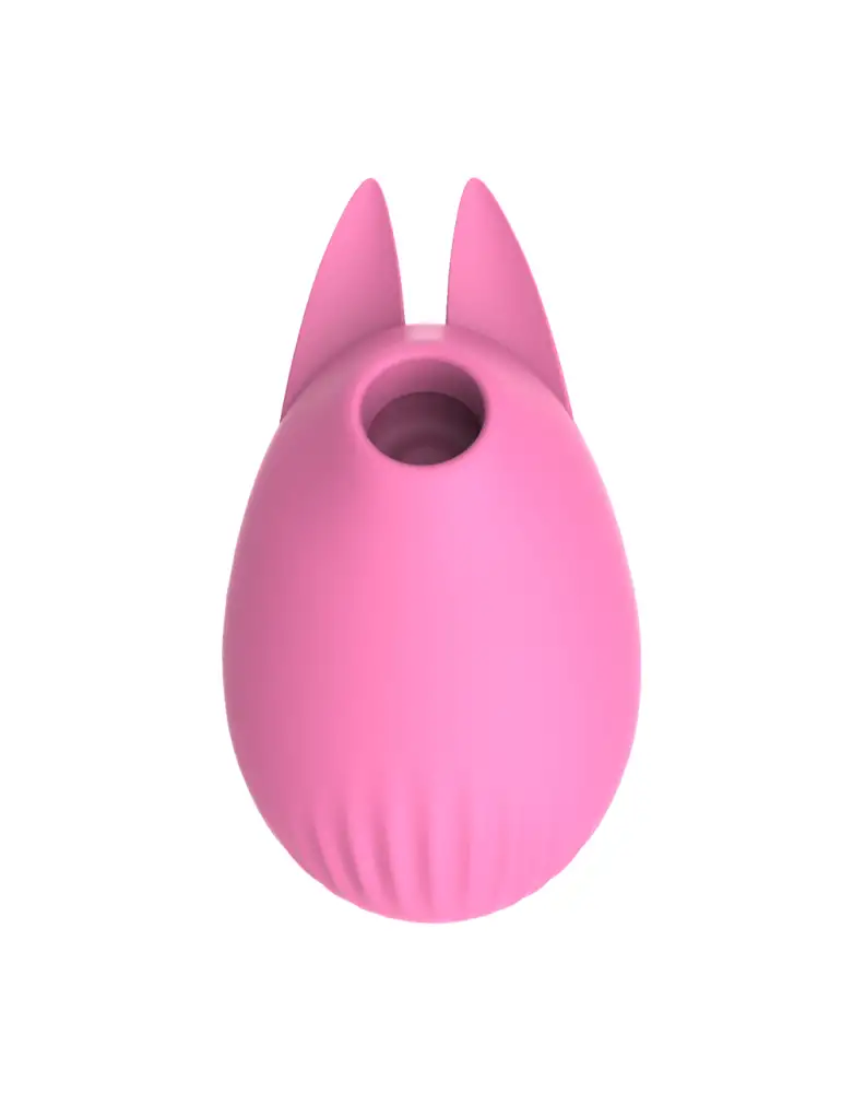 stimulateur-clitoridien-bunny-usb-rose-martie-1