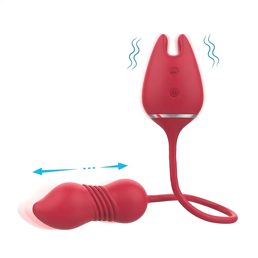 stimulateur-de-clitoris-et-oeuf-wonder-lady-9-vibrations-1