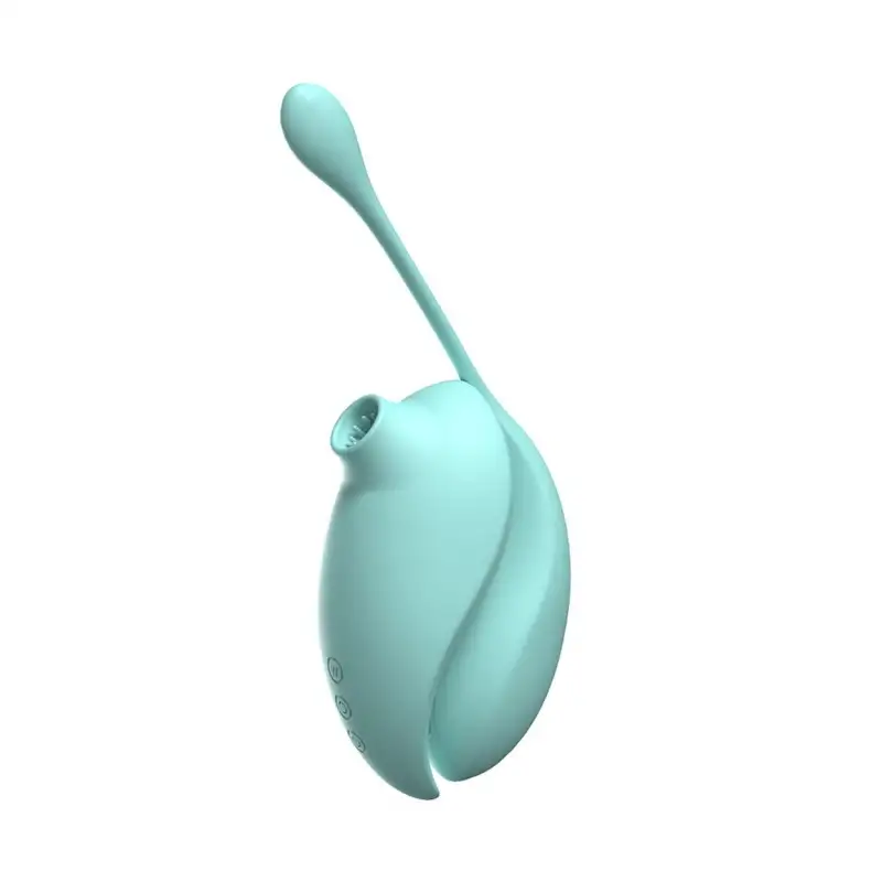 vibromasseur-a-succion-clitoridien-avec-son-oeuf-vibrant-a-distance-0-b0009tur-1